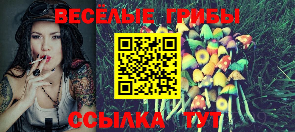Кандалакша  Псилоцибиновые грибы Magic Shrooms  Вход с VPN  Псилоцибиновые грибы ЛСД 